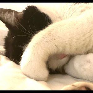 Meet your Posher, Laura